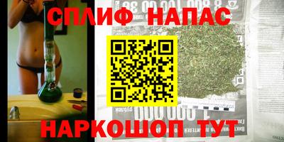 крисы Балахна