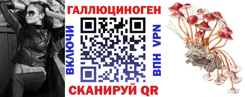 Галлюциногенные грибы Cubensis Пенза
